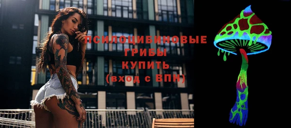 соль курить ск Новозыбков