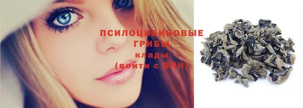 дурь Новодвинск