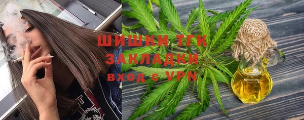 дурь Новодвинск
