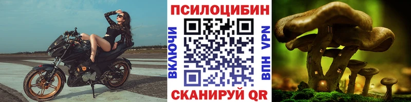 Псилоцибиновые грибы ЛСД  Стерлитамак 